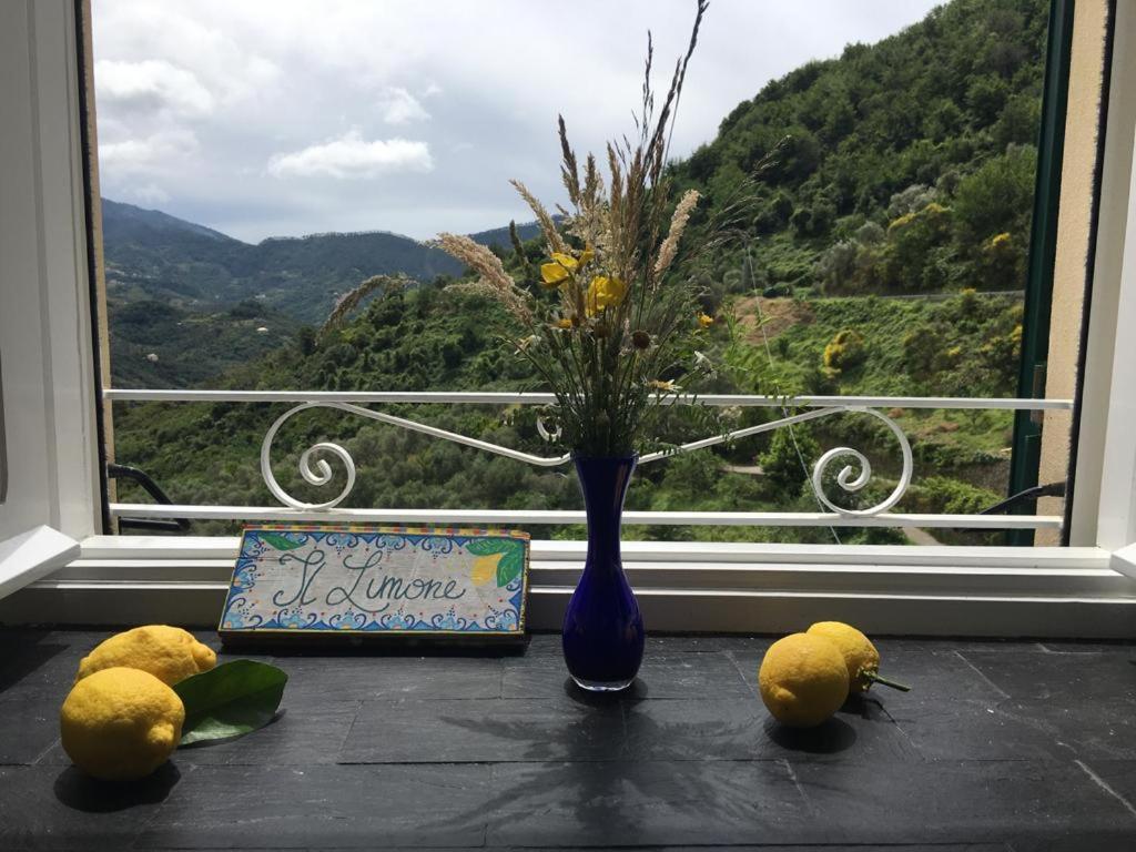 Appartamento Il Limone Levanto Exterior photo
